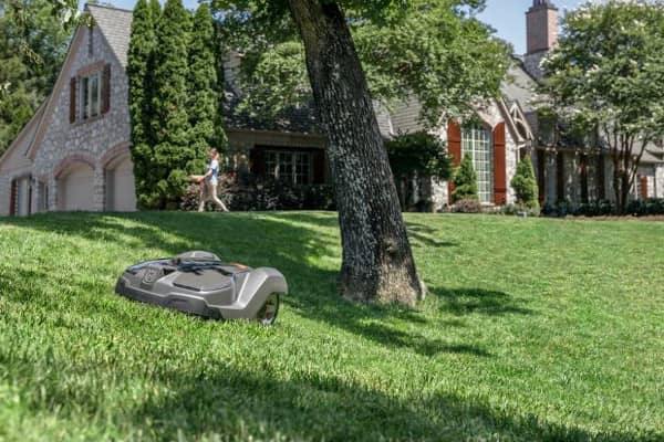 Image of an Automower 430X mowing around a tree.