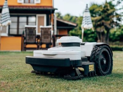 Ambrogio robot lawnmower in a lawn