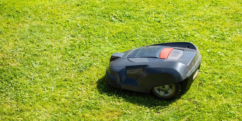 The best robot lawn mower in a yard