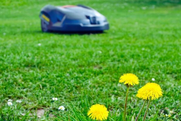 A robot lawn mower does its job in the distance