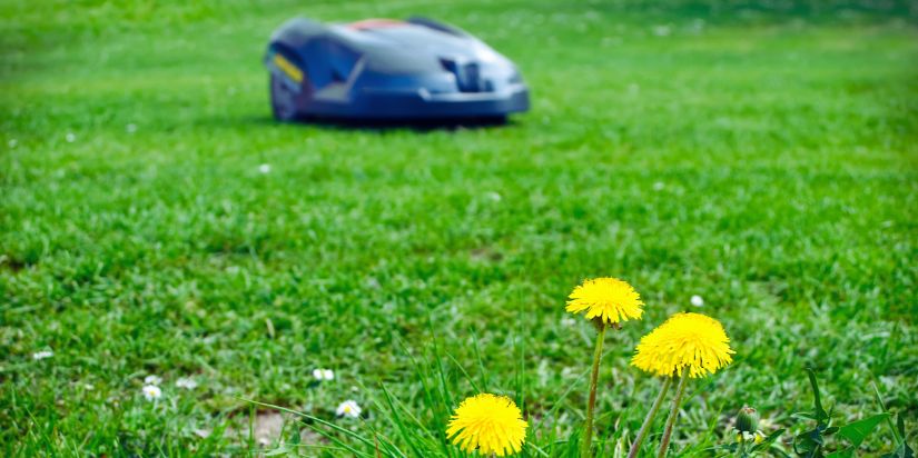 Robot Lawn Mower Cost Featured A robot lawn mower does its job in the distance