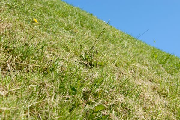 A steep incline that may affect robot lawn mower cost