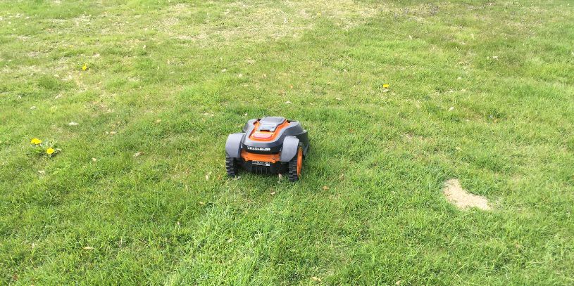 Robotic Lawn Mowers Work Robotic lawn mower on a nicely cut lawn