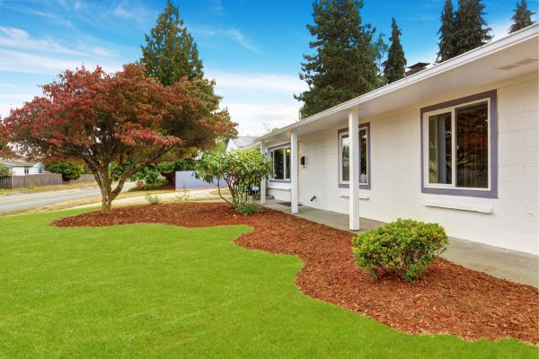 Photo of a yard that was cut by a landscaper's robotic mower