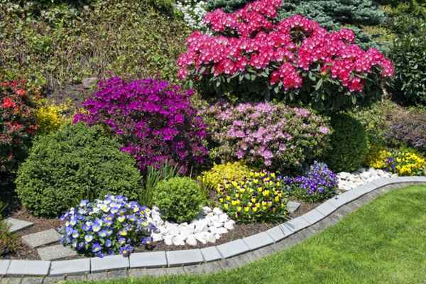 Robots for weeding can keep your garden pristine
