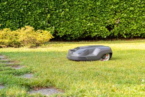 Segway lawn mower cutting grass near a garden.
