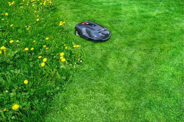 Segway mower trimming grass. 