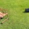A Segway robot mower operating near a lawn chair.