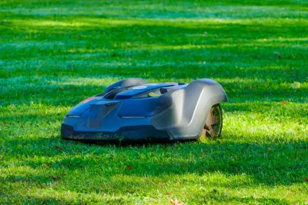 An Echo robot lawn mower saves time and cuts costs.