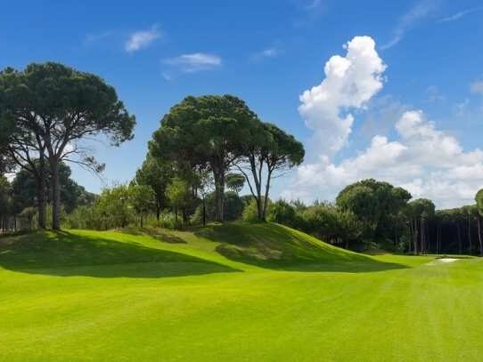 The results of using a fairway mower.