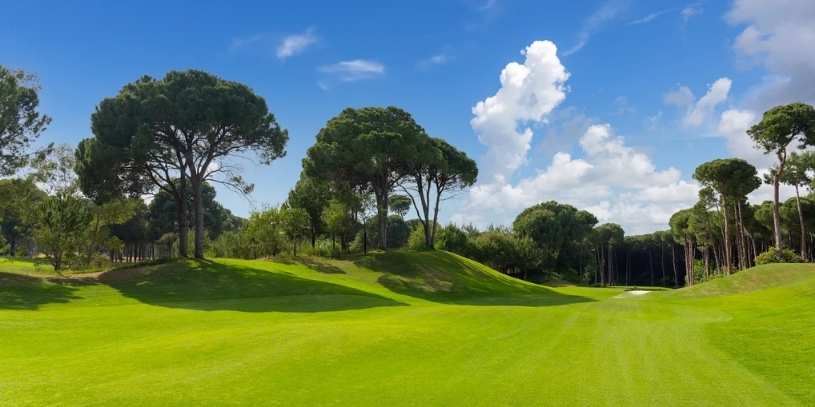 Fairway Mower The results of using a fairway mower.